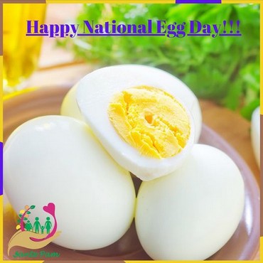 Happy National Egg Day